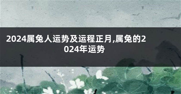 2024属兔人运势及运程正月,属兔的2024年运势