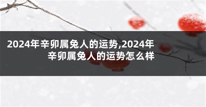 2024年辛卯属兔人的运势,2024年辛卯属兔人的运势怎么样