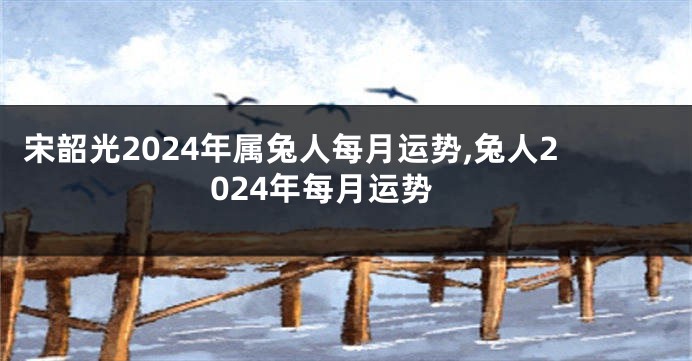 宋韶光2024年属兔人每月运势,兔人2024年每月运势