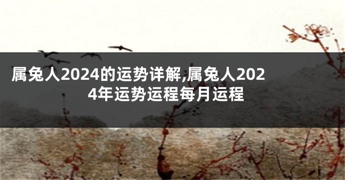 属兔人2024的运势详解,属兔人2024年运势运程每月运程