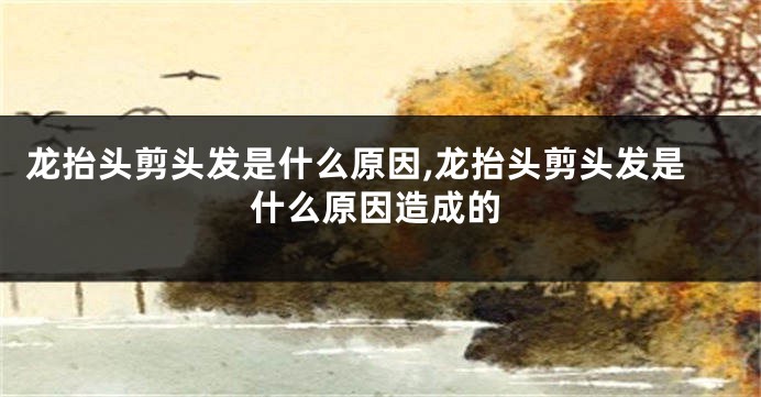 龙抬头剪头发是什么原因,龙抬头剪头发是什么原因造成的