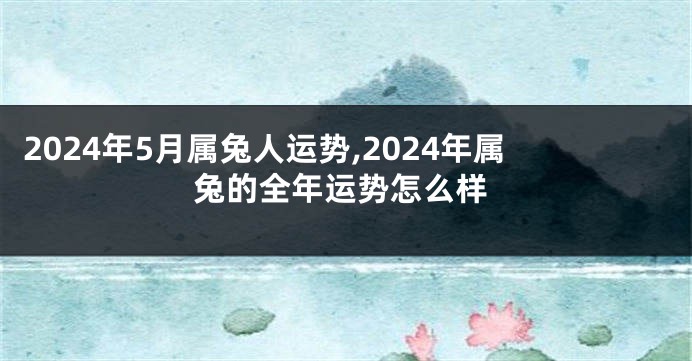 2024年5月属兔人运势,2024年属兔的全年运势怎么样