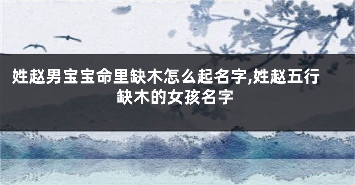 姓赵男宝宝命里缺木怎么起名字,姓赵五行缺木的女孩名字