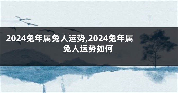 2024兔年属兔人运势,2024兔年属兔人运势如何