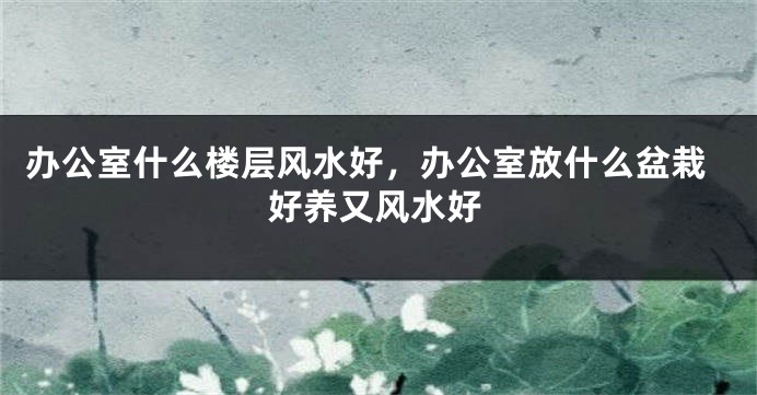 办公室什么楼层风水好，办公室放什么盆栽好养又风水好