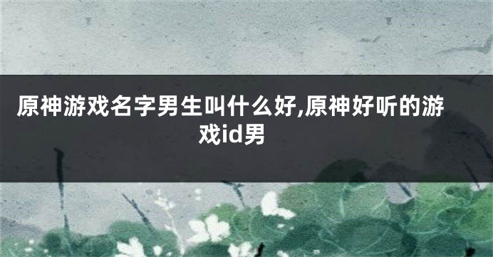 原神游戏名字男生叫什么好,原神好听的游戏id男