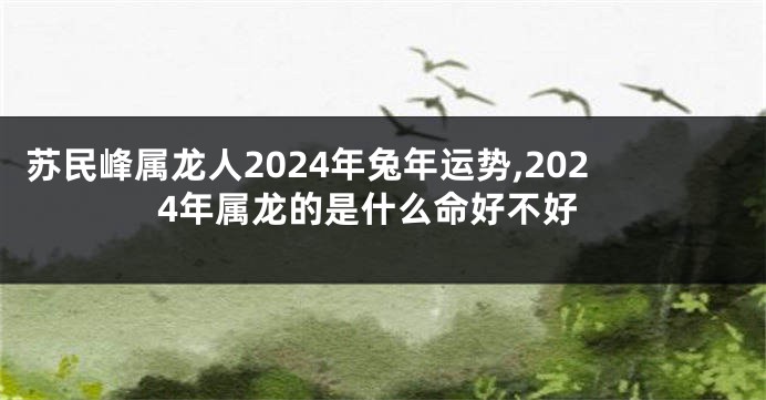 苏民峰属龙人2024年兔年运势,2024年属龙的是什么命好不好
