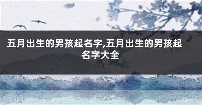 五月出生的男孩起名字,五月出生的男孩起名字大全
