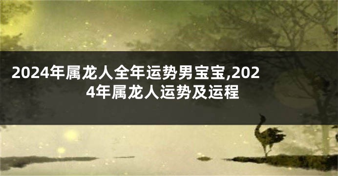 2024年属龙人全年运势男宝宝,2024年属龙人运势及运程