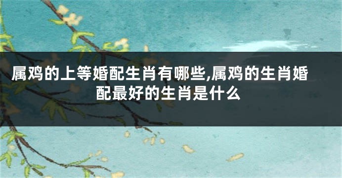 属鸡的上等婚配生肖有哪些,属鸡的生肖婚配最好的生肖是什么