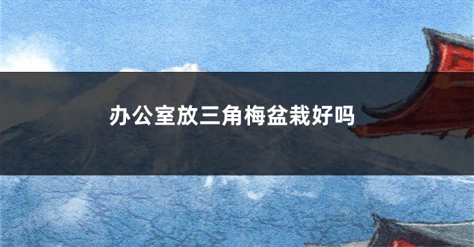 办公室放三角梅盆栽好吗
