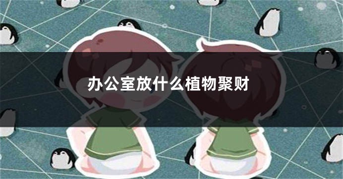 办公室放什么植物聚财