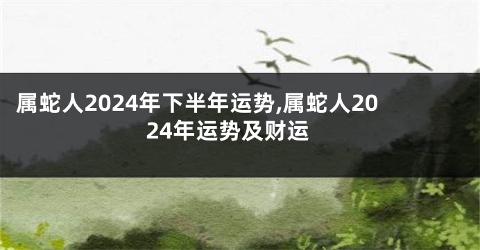 属蛇人2024年下半年运势,属蛇人2024年运势及财运