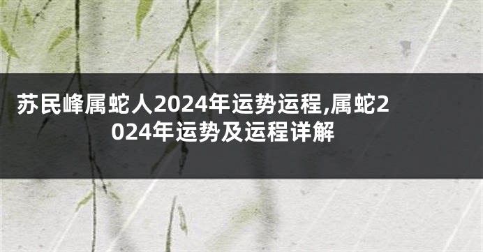 苏民峰属蛇人2024年运势运程,属蛇2024年运势及运程详解