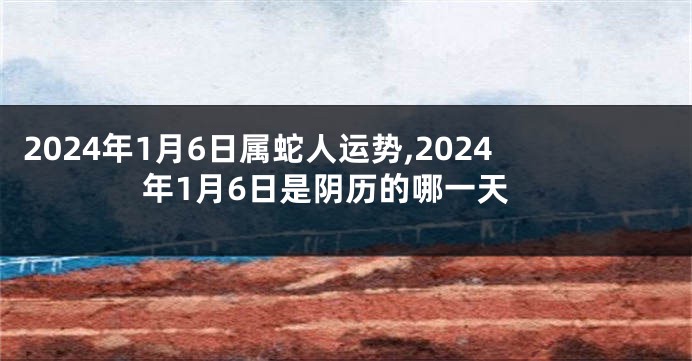 2024年1月6日属蛇人运势,2024年1月6日是阴历的哪一天