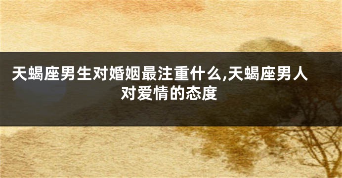 天蝎座男生对婚姻最注重什么,天蝎座男人对爱情的态度
