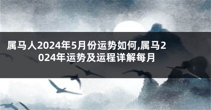 属马人2024年5月份运势如何,属马2024年运势及运程详解每月