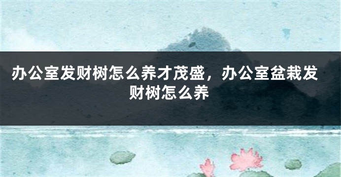 办公室发财树怎么养才茂盛，办公室盆栽发财树怎么养