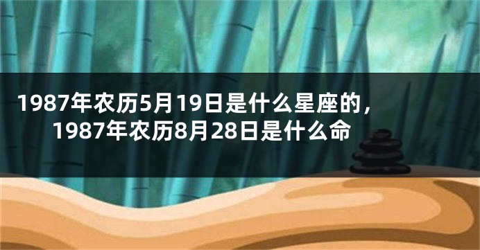 1987年农历5月19日是什么星座的，1987年农历8月28日是什么命