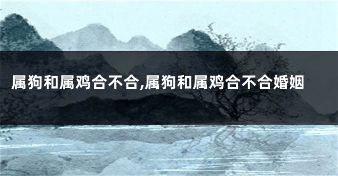 属狗和属鸡合不合,属狗和属鸡合不合婚姻