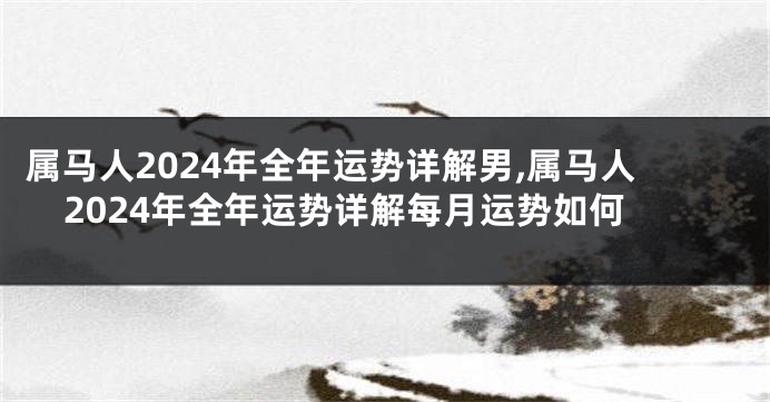 属马人2024年全年运势详解男,属马人2024年全年运势详解每月运势如何