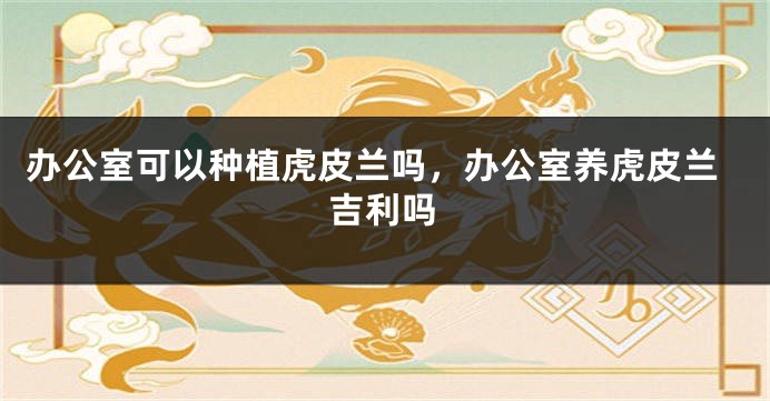 办公室可以种植虎皮兰吗，办公室养虎皮兰吉利吗