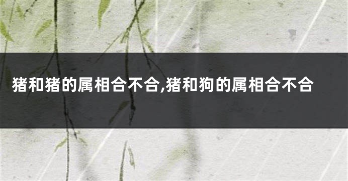 猪和猪的属相合不合,猪和狗的属相合不合