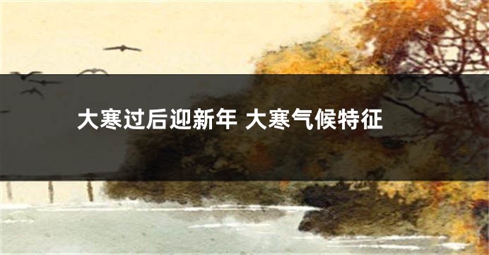 大寒过后迎新年 大寒气候特征