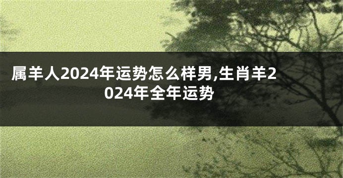 属羊人2024年运势怎么样男,生肖羊2024年全年运势