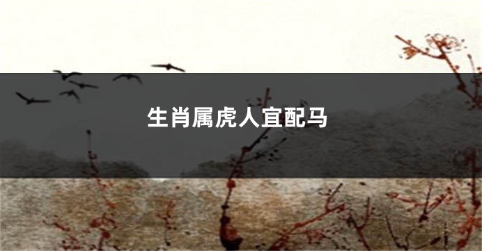 生肖属虎人宜配马