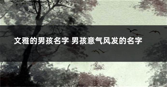 文雅的男孩名字 男孩意气风发的名字