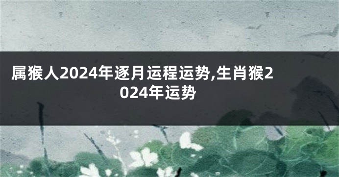 属猴人2024年逐月运程运势,生肖猴2024年运势