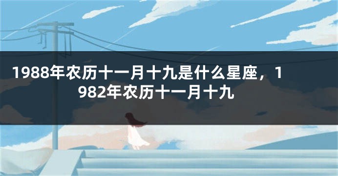 1988年农历十一月十九是什么星座，1982年农历十一月十九