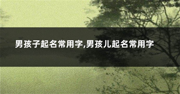 男孩子起名常用字,男孩儿起名常用字