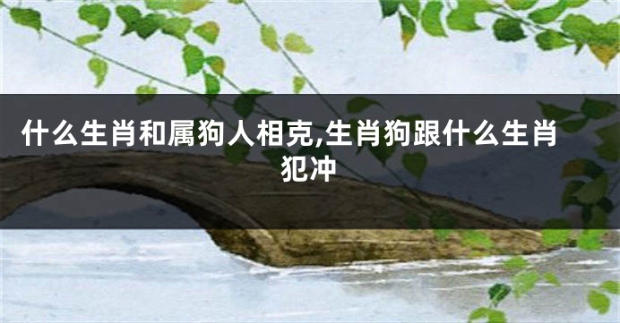 什么生肖和属狗人相克,生肖狗跟什么生肖犯冲