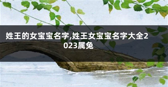 姓王的女宝宝名字,姓王女宝宝名字大全2023属兔