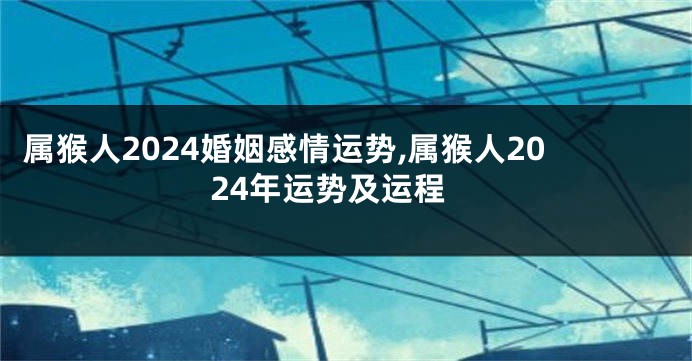 属猴人2024婚姻感情运势,属猴人2024年运势及运程