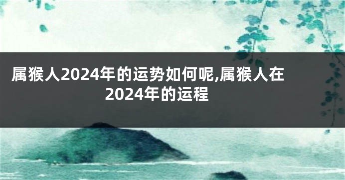 属猴人2024年的运势如何呢,属猴人在2024年的运程