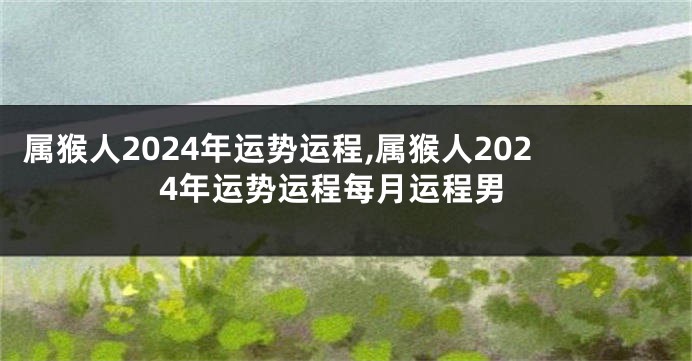 属猴人2024年运势运程,属猴人2024年运势运程每月运程男