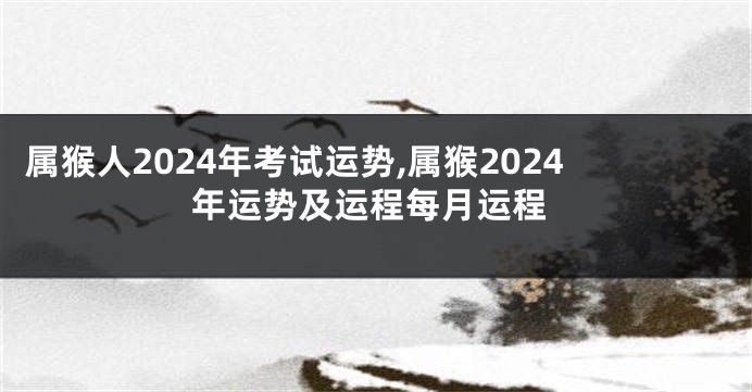 属猴人2024年考试运势,属猴2024年运势及运程每月运程