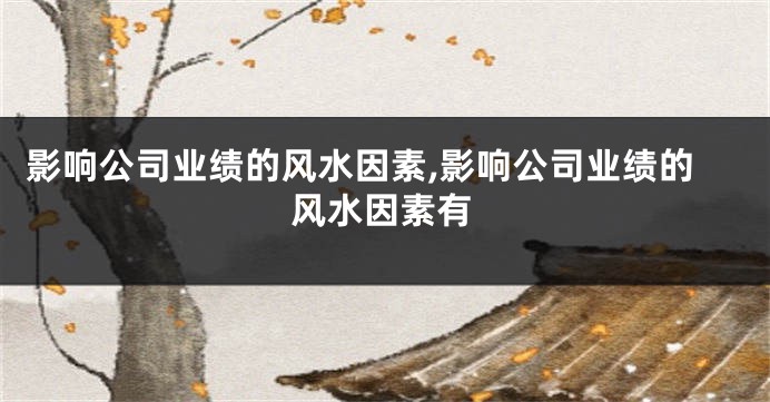 影响公司业绩的风水因素,影响公司业绩的风水因素有