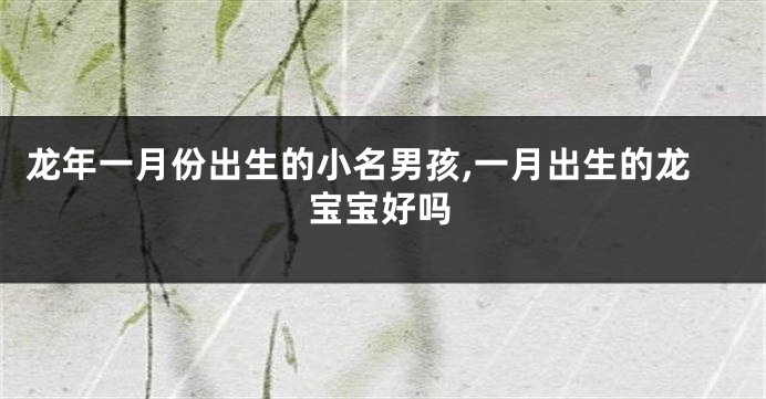 龙年一月份出生的小名男孩,一月出生的龙宝宝好吗