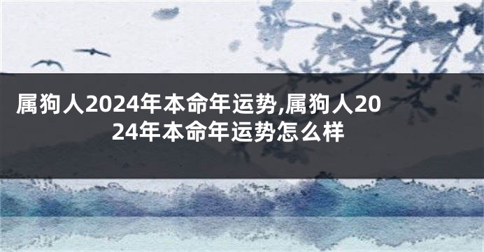 属狗人2024年本命年运势,属狗人2024年本命年运势怎么样