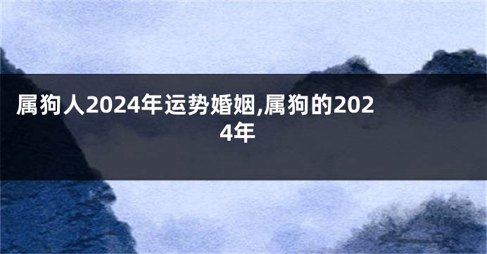 属狗人2024年运势婚姻,属狗的2024年