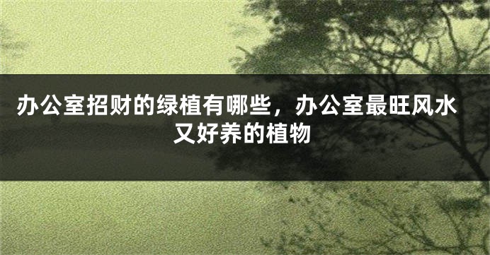办公室招财的绿植有哪些，办公室最旺风水又好养的植物