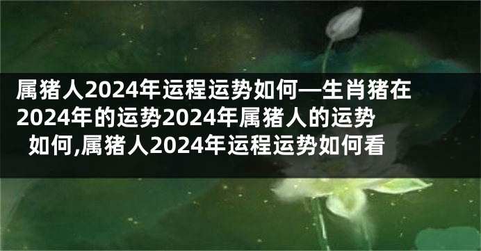 属猪人2024年运程运势如何—生肖猪在2024年的运势2024年属猪人的运势如何,属猪人2024年运程运势如何看