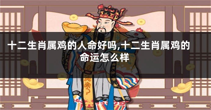 十二生肖属鸡的人命好吗,十二生肖属鸡的命运怎么样
