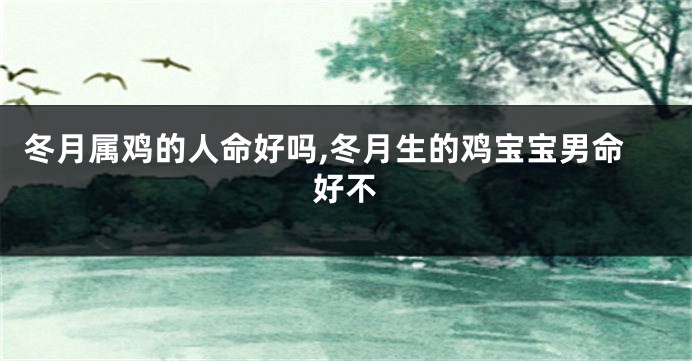 冬月属鸡的人命好吗,冬月生的鸡宝宝男命好不