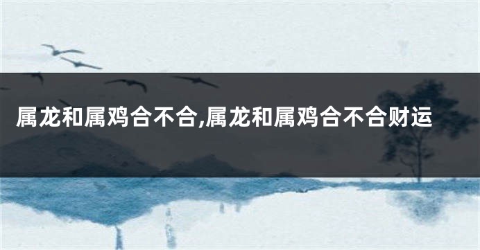 属龙和属鸡合不合,属龙和属鸡合不合财运