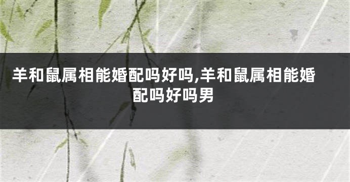 羊和鼠属相能婚配吗好吗,羊和鼠属相能婚配吗好吗男